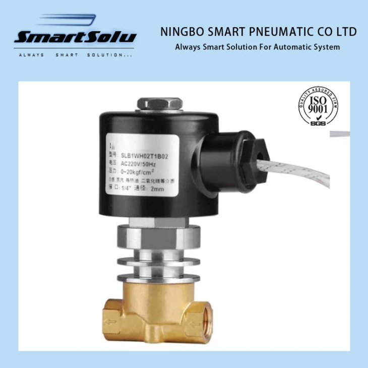 SLB-1 solenoid valve