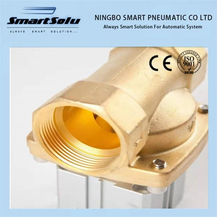 Vacuum Two Way Control Valve